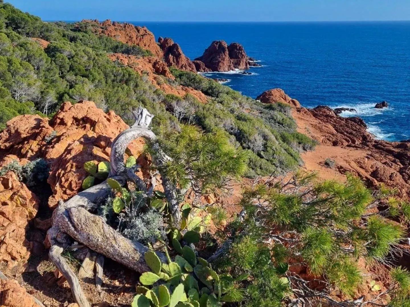 Apartment T2 En Rez De Jardin Privatif Cloture , Cap Esterel Pierre Et Vacances ,Piscine Chauffee Des Le 05 Avril Au 02 Novembre Saint-Raphael